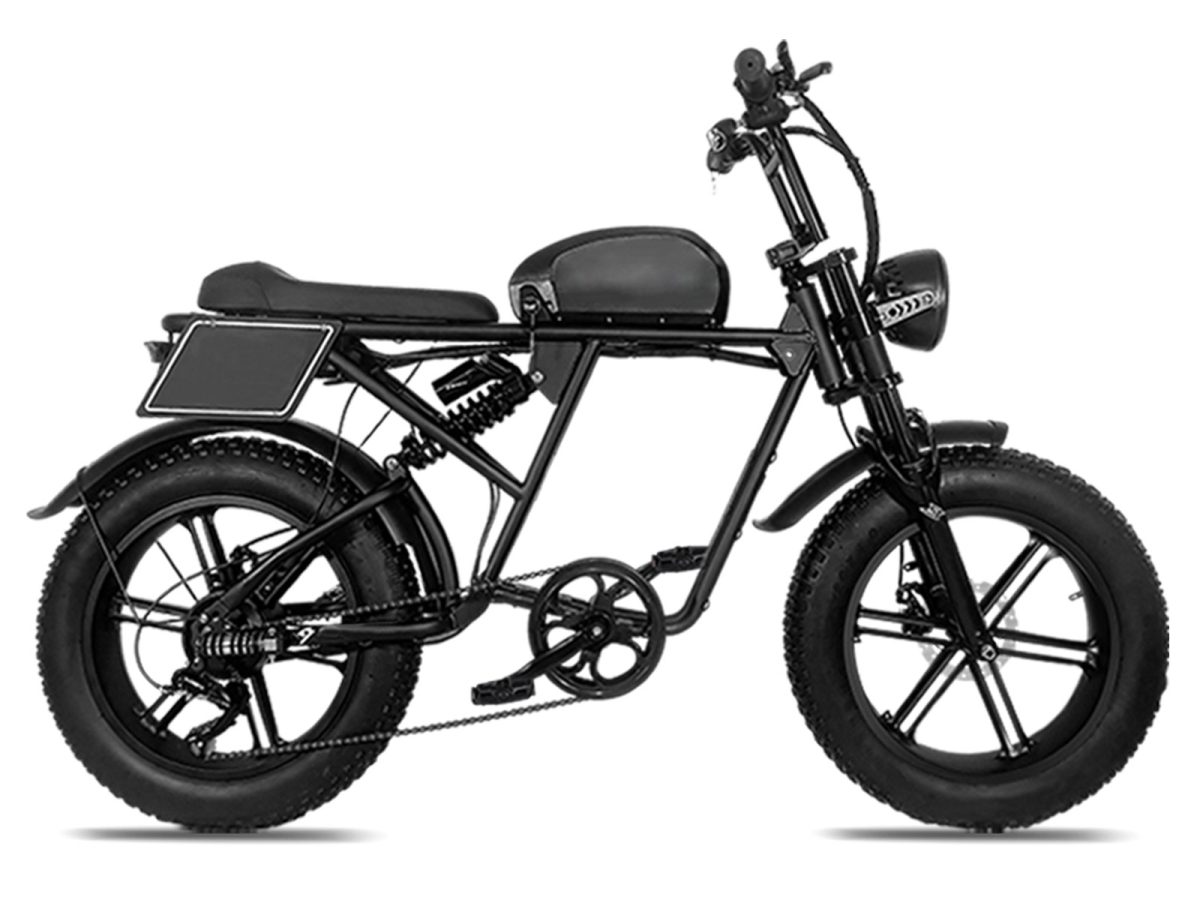 all-terrain fat tire off-road electric bike rx