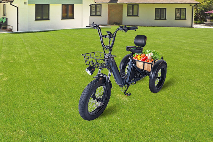 zm300 three wheels electric trike